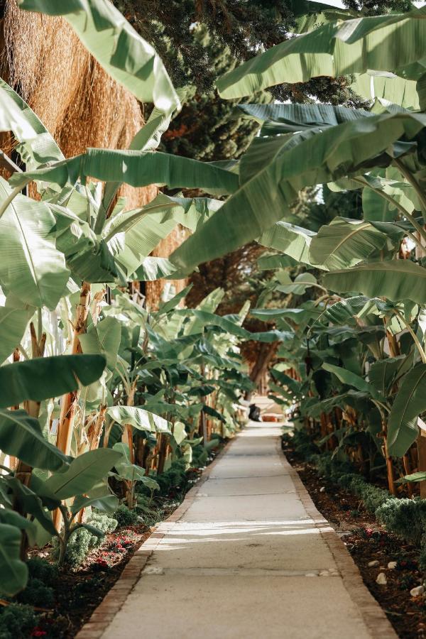 Maja Luxury Cesme Hotel Ngoại thất bức ảnh